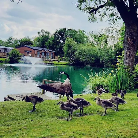Lakefront Fountain View 5 Star Country Park S Vakantiehuis